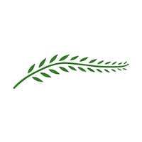 ICCFA_Leaf_White_200x200